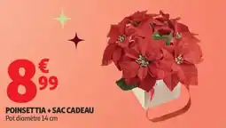 Auchan Supermarché Poinsettia + sac cadeau offre