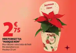 Auchan Supermarché Mini poinsettia marque nom offre