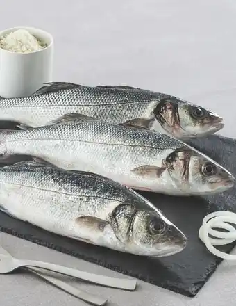 BAR D’AQUACULTURE