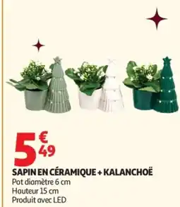 Auchan Sapin en céramique + kalanchoë offre