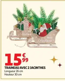 Auchan Traineau avec 2 jacinthes offre