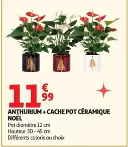 Auchan Anthurium + cache pot céramique offre