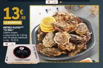 LE GALL Huîtres plates