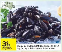 Carrefour Moule de Hollande MSC offre