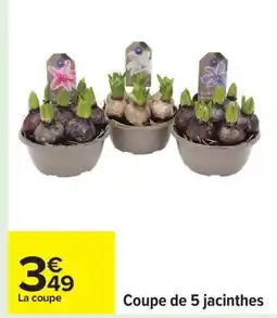 Carrefour Coupe de 5 jacinthes offre