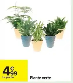 Carrefour Plante verte offre
