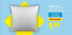 Lidl Oreiller Jacquard offre