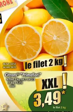 Norma Primofiori citrons offre
