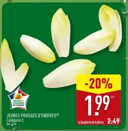 ALDI Jeunes pousses d'endives offre