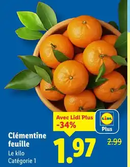 Lidl Clémentine feuille offre