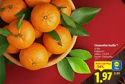 Lidl Clémentine feuille offre