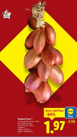 Lidl Echalote tresse offre