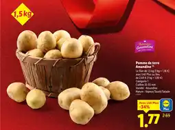 Lidl Pomme de terre amandine offre