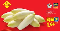 Lidl Jeunes pousses d'endives offre