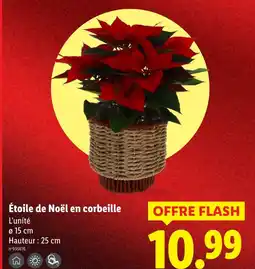 Lidl Étoile de noël en corbeille offre