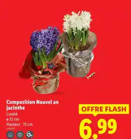 Lidl Composition nouvel an jacinthe offre