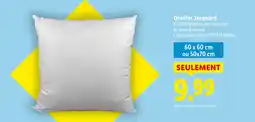 Lidl Oreiller jacquard offre