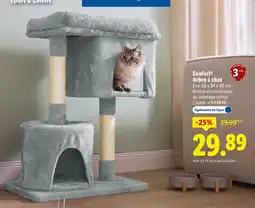 Lidl Zoofari arbre à chat offre