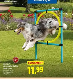 Lidl Zoofaraoofari accessoire agility pour chien offre