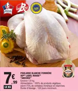 E.Leclerc Poularde blanche fermière igp label rouge ancenis offre