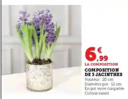 Hyper U Composition de 3 jacinthes offre