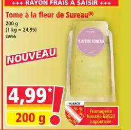 Norma Tome à la fleur de Sureau offre