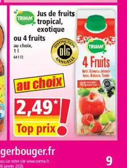 Norma TRIMM Jus de fruits tropical exotique ou 4 fruits offre