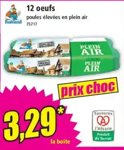 Norma BURELAND 12 oeufs offre