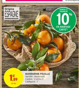 Intermarché Mandarine feuille offre
