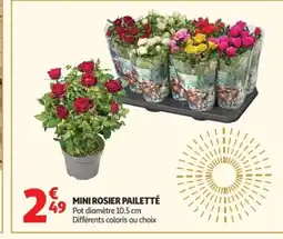 Auchan Mini rosier pailetté offre