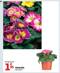 Auchan Primevère offre