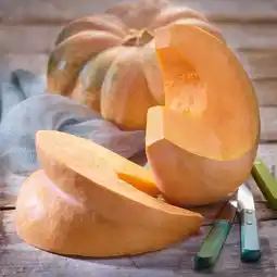 Carrefour Filiere qualite carf potiron tranché offre