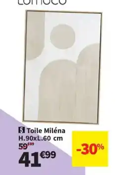 Conforama Toile Miléna offre