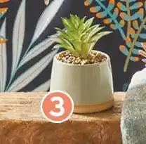 Intermarché Plante ceramique atmosphera offre