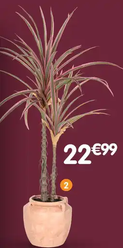 b&m Grande plante offre