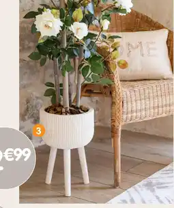 b&m Cache-pot en bois offre