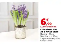 Super U Composition de 3 jacinthes offre