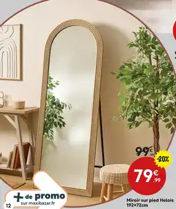 Maxi Bazar Miroir sur pied helois offre