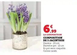 Hyper U Composition composition de 3 jacinthes offre