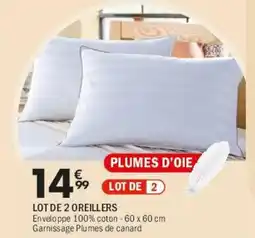 La Foir'Fouille Lot de 2 oreillers offre