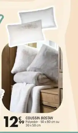 La Foir'Fouille Coussin bostan offre