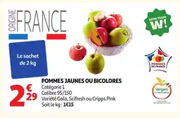 Auchan Pommes jaunes ou bicolores offre