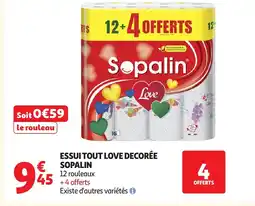 Auchan SOPALIN Essui tout love decorée offre