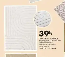 La Foir'Fouille Tapis relief maximus offre