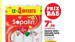 Bi1 SOPALIN Essuie tout decore love offre