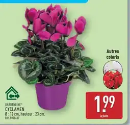 ALDI GARDENLINE CYCLAMEN offre