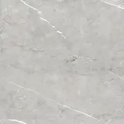 Brico Dépôt Carrelage de sol intérieur amboise offre