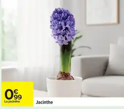 Carrefour Jacinthe offre