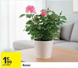 Carrefour Rosier offre