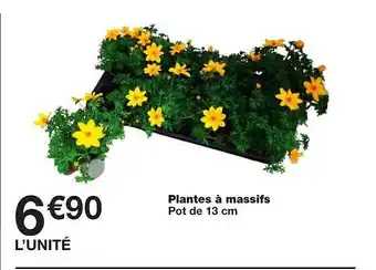 Monoprix Plantes à Massifs offre